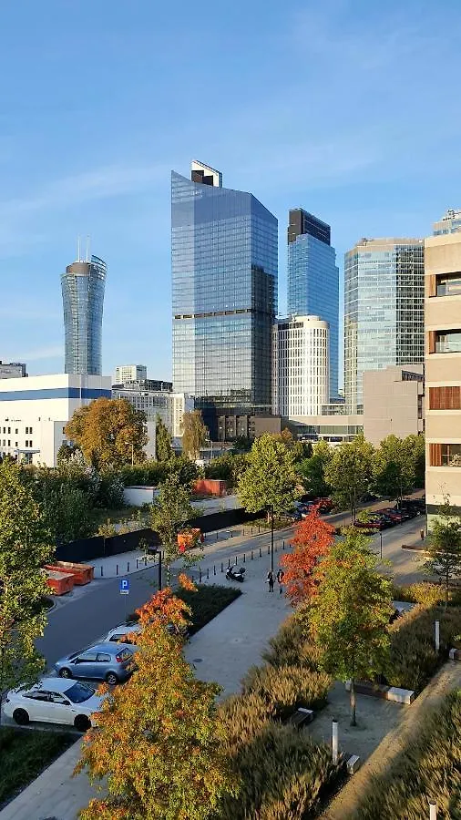 Chopin Apartments - City contacts